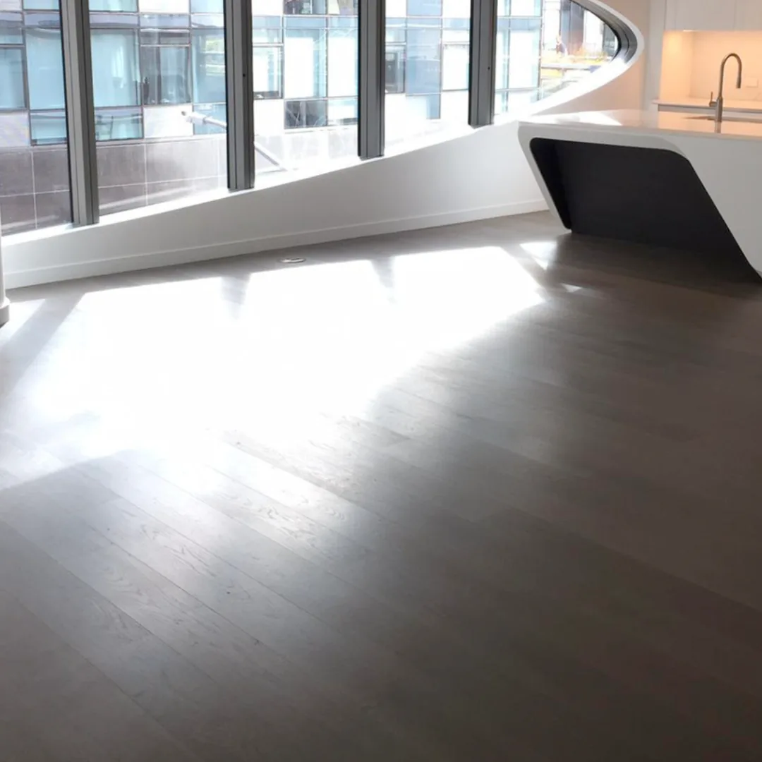 Modern apartment with dark wood flooring